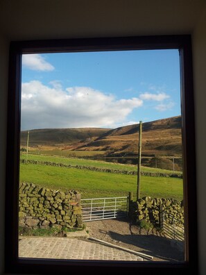 View from bedroom window.