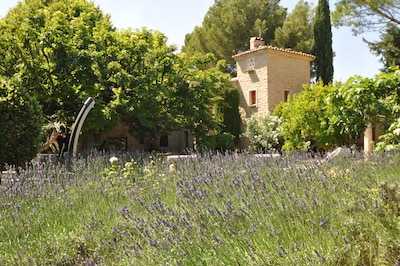 Maravillosa casa de campo provenzal del siglo XVII en el corazón de 4 hectáreas de viñedos y olivos.