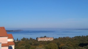 view from the entrance to the property (Brijuni islands)