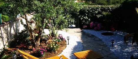 Terrasse avec son olivier Plein Sud équipée d'un store amovible