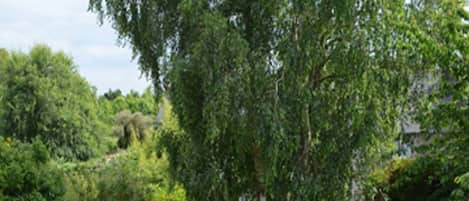 Une vue de la terrasse donnant sur le jardin privatif