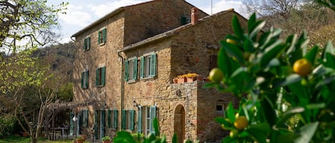 Facade of the house