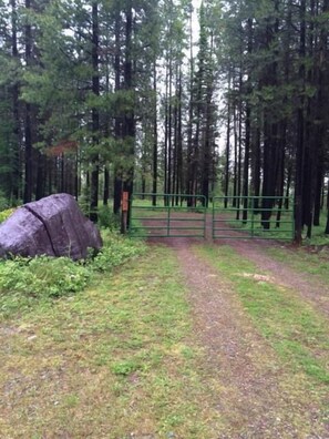 Right fork all the way up the road to green gate  entrance to cabin