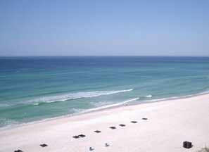 Watch the Dolphins/View of White Sandy Beach and Gentle Breaking Waves