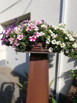 Detalj exteriör