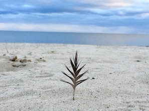 Bass River Beach’s are therapeutic!