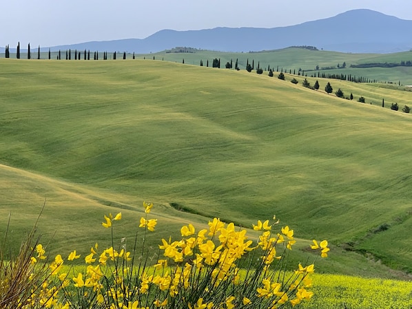 Welcome to Tuscany, the Crete Sinese region