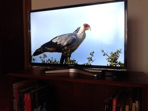 Television
