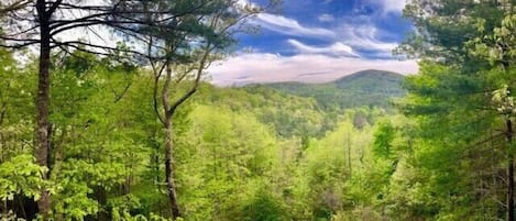 Εξωτερικός χώρος καταλύματος