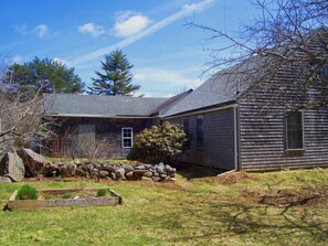 back courtyard area in April with apple trees flowers: April