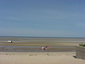 Ranta