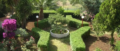 Garden, park