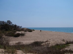 View of the beach