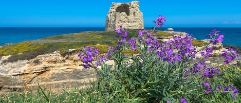 Torre di Roca.             (foto Alfonso Zuccalà ph)