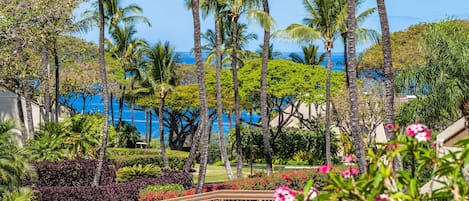 View from the Main Lanai