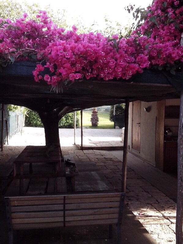 Restaurang utomhus