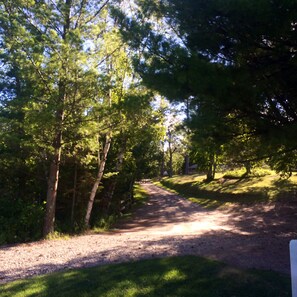 Road to the cabin-- summer 2017