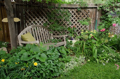 Welcoming cottage and artist's studio in the historic Old North End