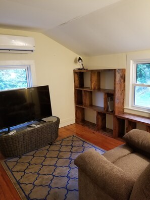 Library and TV room 