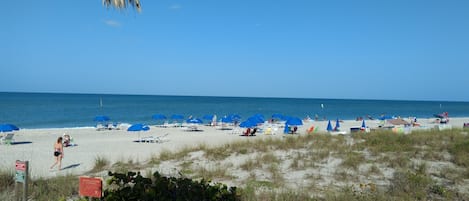 Gorgeous beaches! Right across the street!