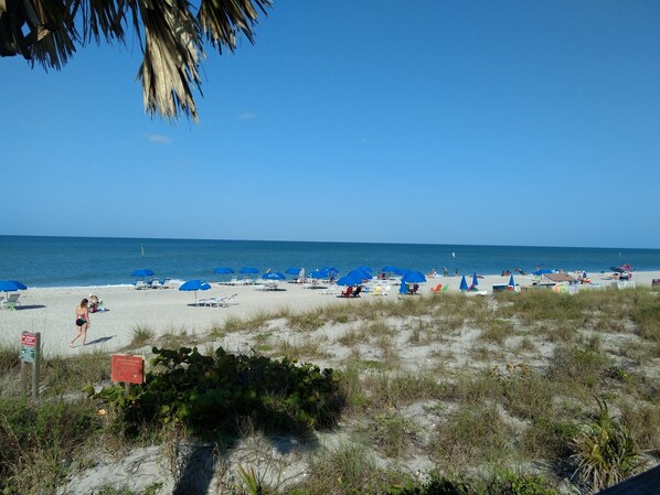 Gorgeous beaches! Right across the street!