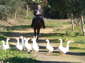 Terrenos do alojamento