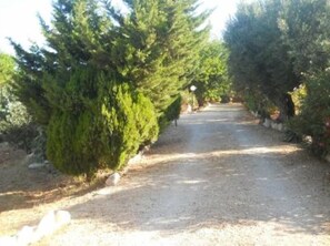 Jardin, Parc