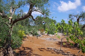 Großes idyllisches Grundstück