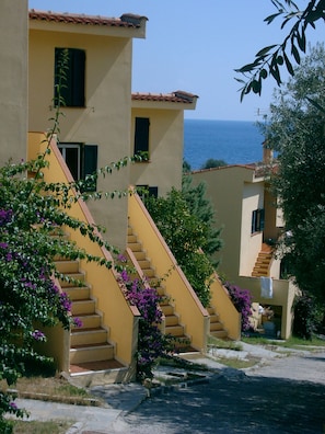 The garden, the entrance of the apartments