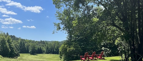 View from front lawn