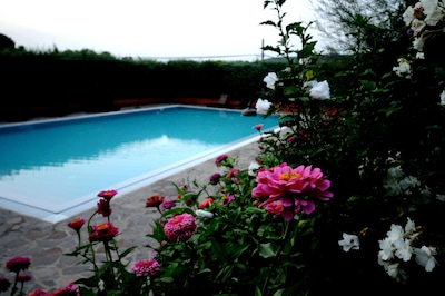 Casa Rondini apartment on the ground of organic farm