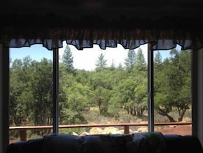 The view from the living room window - lots of lovely trees! 
