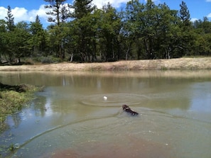 Lac