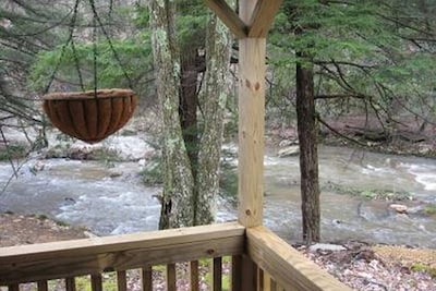 Rustic Waterfront Cabin- Enjoy the Sounds of Nature Right From Your Porch