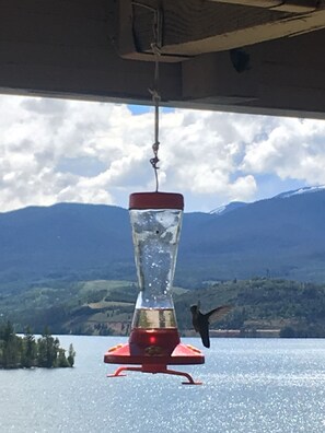 Patio view of Lake Dillon.