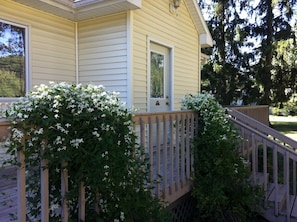 Entrance to the Summer Cottage - Welcome!