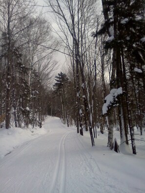 Snow and ski sports