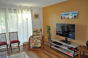 Living Room recliner, TV