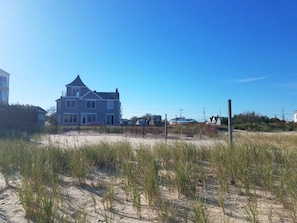 View from Beach