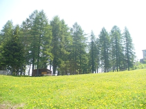 Boendeområde