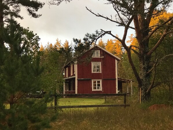 Exteriör