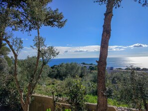Vue depuis l’hébergement