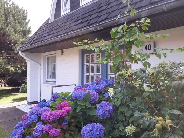Detalj exteriör