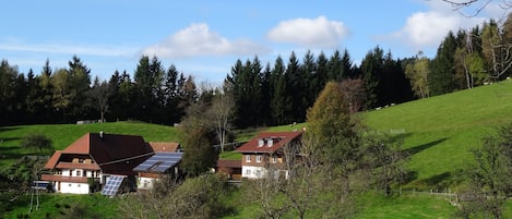 Ferienwohnung Berghansenhof-OUTSIDE