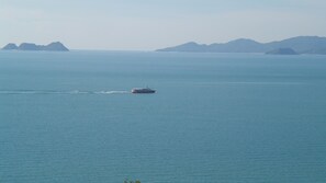 Blick von der Terrasse