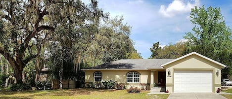 Front of home showing the huge oak tree