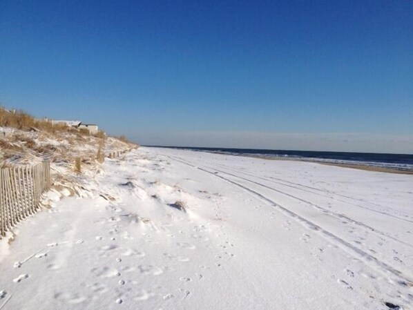Winter beach with snow