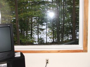 View from daylight basement