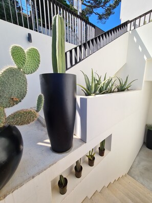 escalier entree 
