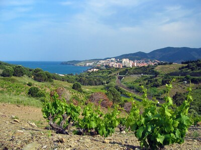 CERBERE, LARGE TERRACE WITH SEA AND MOUNTAIN VIEW - 4 Pers. / Wifi / Air conditioning